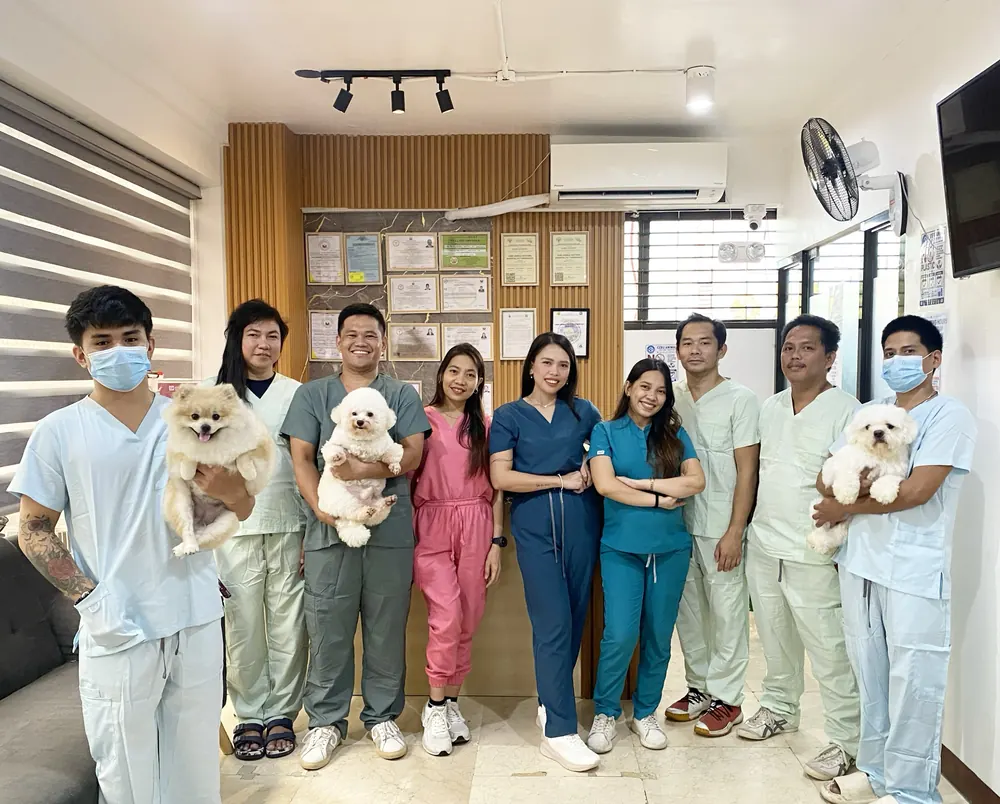 The team in the hospital lobby, holding three of our puppy patients