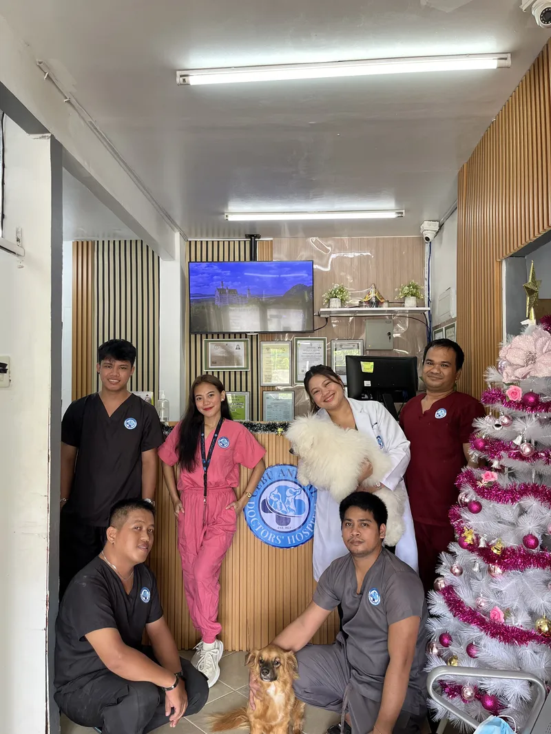Our vets, nurses and groomers with a patient in the hospital hallway